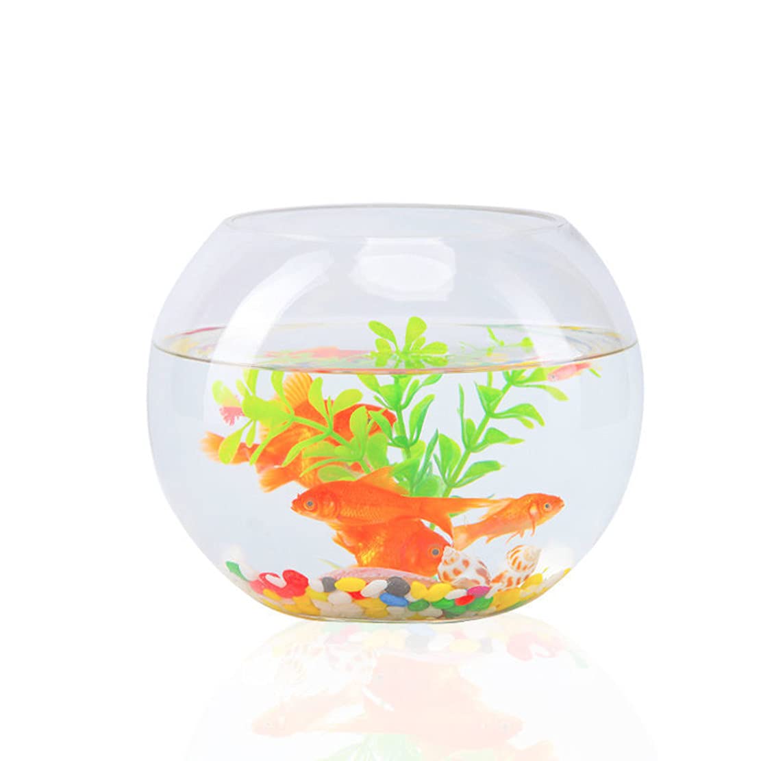 Amazon | 金魚水槽、水族館、小型水槽、テラリウム、ガラス